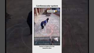 Cardiovascular system  medical medicalterms neet2025 drzartab doctor neetstudyroom medicos [upl. by Kcired]