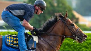 Eddie Olczyk Pegasus World Cup Contenders National Treasure [upl. by Onaicilef]