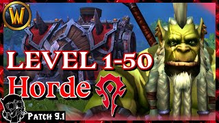 How I Level Horde 150 ❤️ Shadowlands [upl. by Kreis]