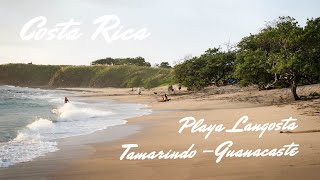 Playa Langosta 🌞  BEAUTIFUL REMOTE BEACH  Tamarindo Guanacaste Costa Rica 🇨🇷 [upl. by Artemed]