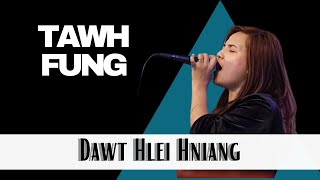 Tawhfung  Dawt Hlei Hniang [upl. by Elrak]