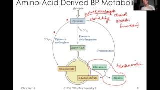 TCA Cycle Reguation and Glyoxylate Cycle [upl. by Zahc]