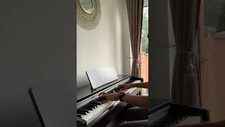 Arrival Of The Birds amp Transformation  Patrik Pietschmann  Short Piano Cover  shorts [upl. by Aimas]