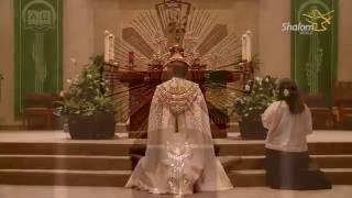 Eucharistic Adoration St Stephen Catholic Church [upl. by Akemet3]