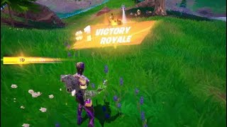 Ez crown Fortnite solo 734 [upl. by Norak]