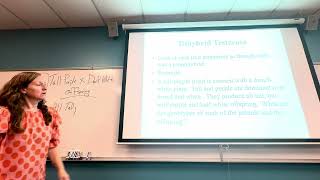 Incomplete Dominance CoDominance Blood Typing Other Inheritance [upl. by Capp]