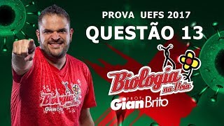 O CICLO DE VIDA VEGETAL  PROVA UEFS 2017 QUESTÃO 13 [upl. by Blayze445]