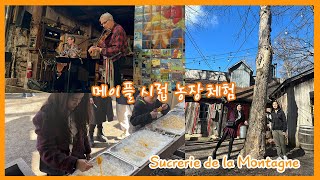 캐나다 퀘벡 메이플 시럽 농장 체험하기 Cabane à Sucre  Making Maple syrup  Maple taffy  Sucrerie de la Montagne [upl. by Annaehr204]