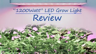 quot1200 Wattquot LED Grow light Review  Sold on Amazon by Supmovo [upl. by Eemiaj821]