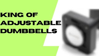 The best adjustable dumbbells for 2024 [upl. by Mccreery]