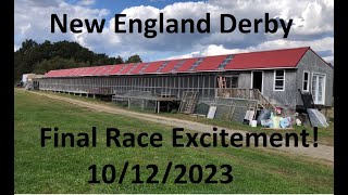 New England Derby One Loft Pigeon Race Exciting Result [upl. by Elonore313]