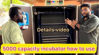 How to make egg Incubator at home ￼ incubator for Chicken eggs  hechri machine price ￼ [upl. by Naggem]