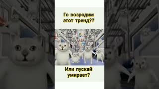 мем фрет котики shortsvideo [upl. by Conan]