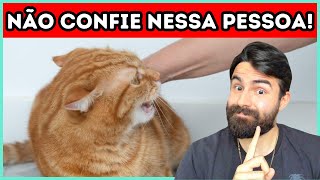 Como Seu Gato Pode RECONHECER E ALERTÁLO Sobre Pessoas RUINS [upl. by Llerrej]