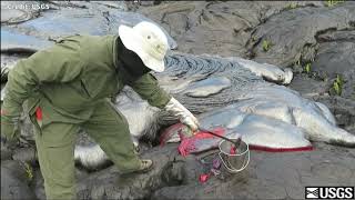 Watch a Geologist collecting lava samples from an active volcano [upl. by Yrogiarc]