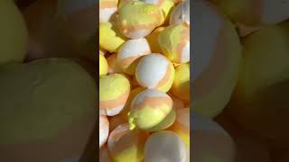 Limited time only Freeze dried candy corn salt water taffy [upl. by Nwavahs]