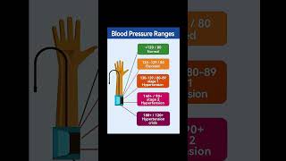 Blood pressure ranges  normal blood pressure [upl. by Noskcaj861]