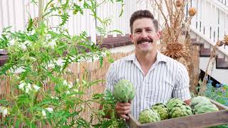 All About Artichokes with Kyle Hagerty from Urban Farmstead [upl. by Materi443]