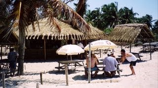 Barra Lodge Mozambique Travel guide [upl. by Clarance779]