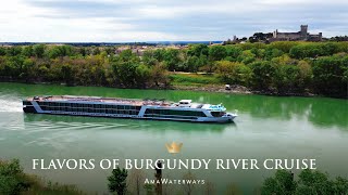 AmaWaterways’ Flavors of Burgundy River Cruise Itinerary [upl. by Erihppas]