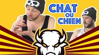 LES FRERES BISON  TEAM CHAT 🐱 OU TEAM CHIEN 🐶 [upl. by Dupre]