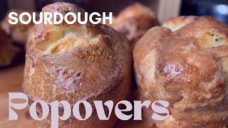 How to Make Easy Sourdough Discard Popovers [upl. by Ishmael]