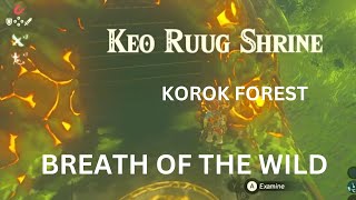 KEO RUUG SHRINE KOROK FOREST THE LEGEND OF ZELDA BREATH OF THE WILD [upl. by Derna]