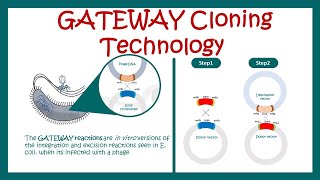 Gateway cloning  How does Gateway cloning work  What are the advantages of Gateway cloning [upl. by Assille299]