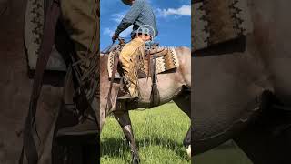 How To Use A Hill To Improve Your Horses Reverse b1 b1horsemanship es20 [upl. by Anasiul]