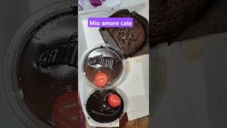 Mio amore cakemioamore shortsviralviralvideo [upl. by Simsar]