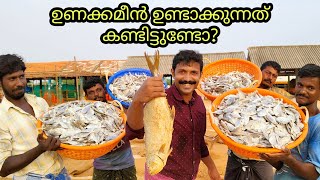 Dried Fish Processing Explained  How is dried fish prepared [upl. by Loise960]