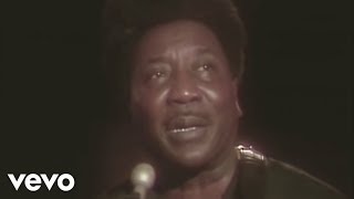 Muddy Waters  Hoochie Coochie Man Live [upl. by Puett]