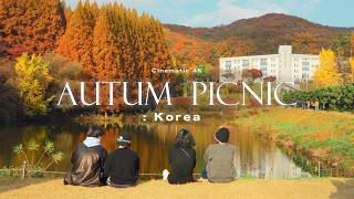 4K Korea Autumn Jazz Cinematic Playlist [upl. by Ydarb]