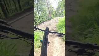 Highspeed trail wit a lot of flow🤩 bike enduromtb mtb mountainbike mtblife viral shorts [upl. by Enaelem]