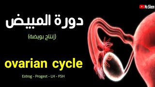 أسهل شرح لفهم الدورة الشهرية في المبايض ❤️🩸👌 Ovarian cycle ❤️ [upl. by Currier]