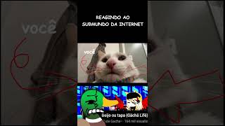 REAGINDO AO SUBMUNDO DA INTERNET gacha react shorts [upl. by Eelan627]