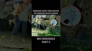 anak ini masuk ke kandang buaya terbesar di dunia buaya crocodile [upl. by Attekal538]