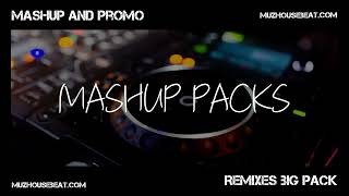 Mashup and Promo Remixes big pack August 2024 [upl. by Ardene334]