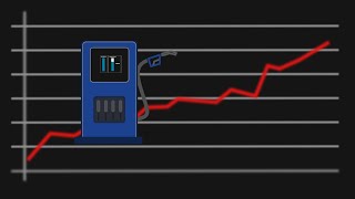 Cómo se calcula el precio de los combustibles en Argentina [upl. by Ellatsirhc]