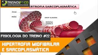 Hipertrofia Miofibrilar e Hipertrofia Sarcoplasmática  Fisiologia do Treino 22 [upl. by Onaivatco933]