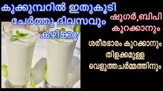 കുക്കുമ്പറിൽ ഈ ചേരുവകൂടി ചേർത്ത് ദിവസവും കഴിക്കൂ  Healthy Cucumber Drink [upl. by Labanna]