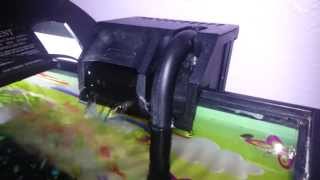 How To Make Your Aquarium Filter Quieter [upl. by Power]