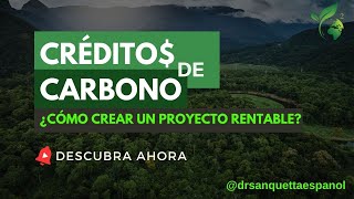 🌍 CRÉDITOS DE CARBONO ¿Cómo crear un proyecto rentable [upl. by Itsa366]