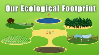 Our Ecological Footprint [upl. by Gwynne213]