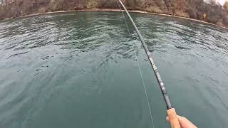 Fishing Lower Niagara River 11202024 Artpark and Peggys drifts [upl. by Ronn649]