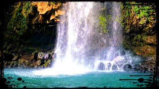 Rincon de la Vieja National Park Costa Rica 🇨🇷 WILDLIFE at Beautiful Catarata Cangraja [upl. by Keverian]