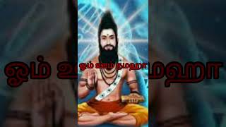 உச்சாடணம் தொழில் சித்தியாக மனோசக்தி religion சித்தர்கள் [upl. by Castle]