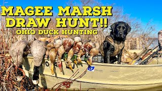 COVERED Up In Ducks  Ohio Magee Marsh Draw Hunt [upl. by Ahsekin]