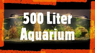 Aquarium einrichten500 Liter XXL Aquarium [upl. by Oreste]