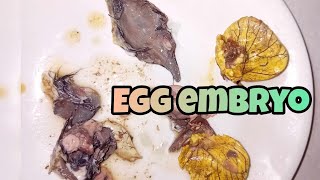 Cracking egg embyo balut egg asmr [upl. by Annaxor]